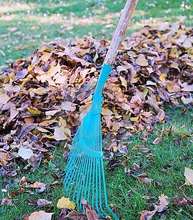 Garden clearance & maintenance