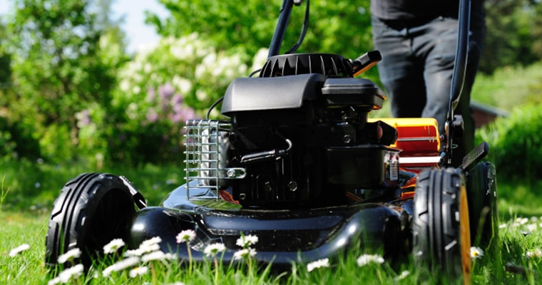 Garden Maintenance