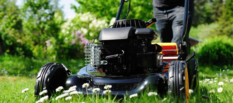 Garden Maintenance